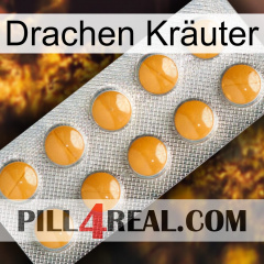 Drachen Kräuter levitra1